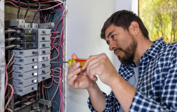 Best Electric Panel Repair  in St Bonaventure, NY